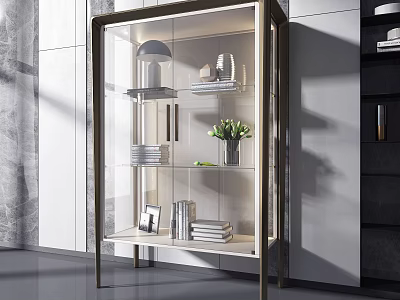 Modern Glass Door Bookcase Design With Metal Frame Decorative Items And Books 3d model