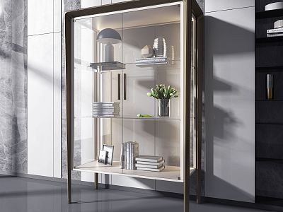 Modern Bookcase Glass Decorative Cabinet model