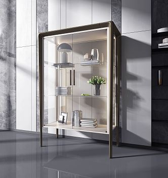 Modern Bookcase Glass Decorative Cabinet 3d model