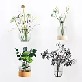 Stylish Glass Vases with Colorful Flowers and Green Plants for Modern Home Decor