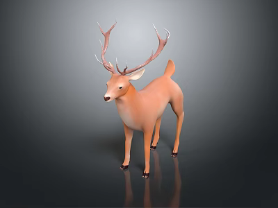 Brown Deer with Large Antlers Standing on Dark Background with Reflection 3d model