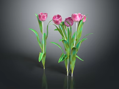 Pink Tulips With Green Leaves And Stems Against Dark Background With Reflections 3d model