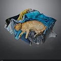 Colorful Fabric Covered Furniture Sofa With Orange Cat Resting Comfortably