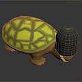 3D Rendered Turtle With Yellow Shell And Grid Pattern Black Head And Brown Body