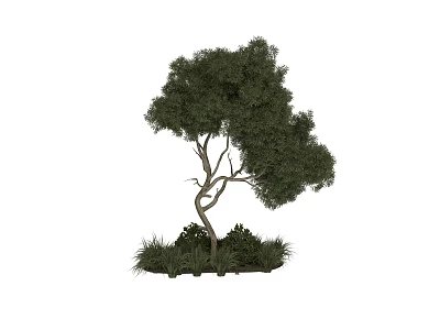 Curved Trunk Arbor With Lush Green Canopy And Dense Grassy Underbrush 3d model