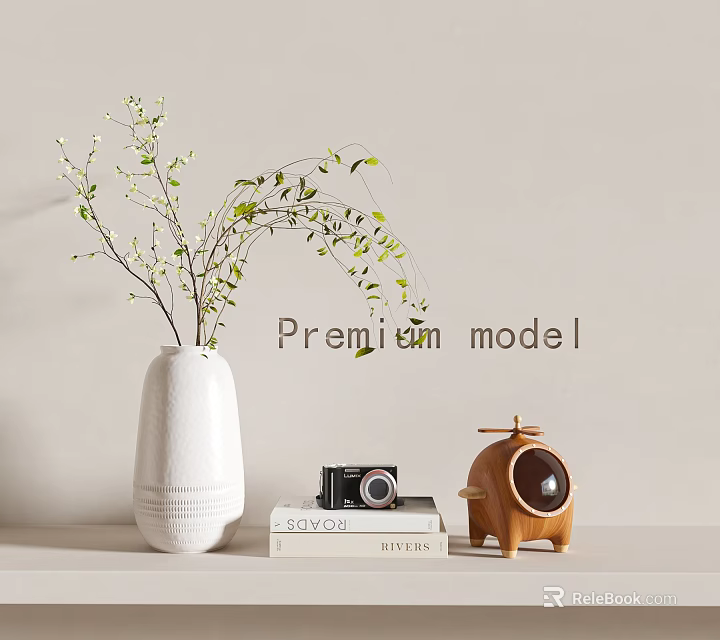 Decorative Ornament Set With White Vase Green Leaf Branches Books Black Camera And Wooden Ornament 3d model 
