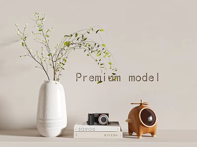 Decorative Ornament Set With White Vase Green Leaf Branches Books Black Camera And Wooden Ornament 3d model