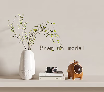 Decorative Ornament Set With White Vase Green Leaf Branches Books Black Camera And Wooden Ornament 3d model