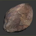 Single Brownish Red Textured Coconut Fruit With Natural Shell And Oval Shape 3d model