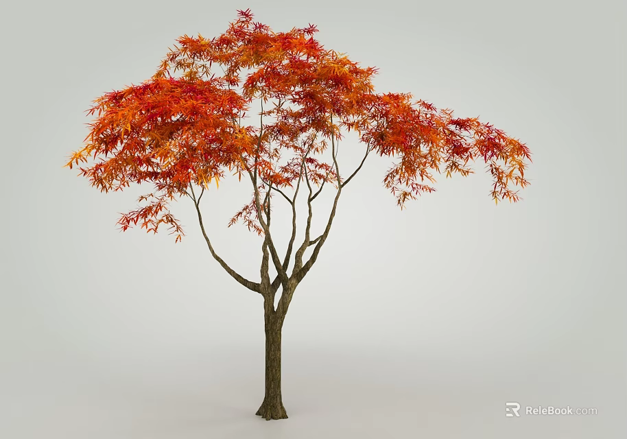 Graceful Tree With Vibrant Red And Orange Autumn Foliage And Brown Trunk 3d model 
