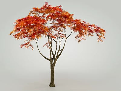 Graceful Tree With Vibrant Red And Orange Autumn Foliage And Brown Trunk 3d model