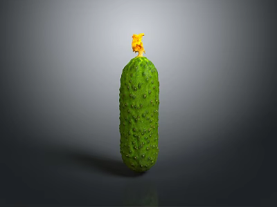 Fresh Green Spiky Cucumber With Yellow Blossom On Gray Background 3d model