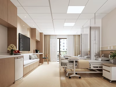Modern Hospital Outpatient Ward Interior With Bed TV Cabinets Sofa And Flowers 3d model