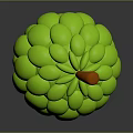 Ripe Green Custard Apple with Bumpy Texture and Orange Stem Against Gray Background 3d model