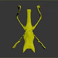 Mythical Multi Limbed Fantasy Creature With Red Black Body And Glowing Yellow Limbs