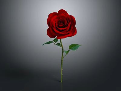 Beautiful Red Rose Plant With Green Stem And Leaves On Gray Background 3d model