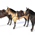 Three Saddled Horses With Different Colors Standing On White Background
