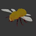 Bee with Yellow Body Black Legs and Transparent Wings on Dark Background