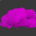 Purple Tree with Lush Leaves Brown Trunk Surrounded by Scattered Petals and Small Stones