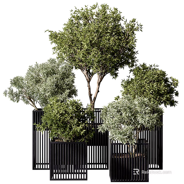 Bonsai Potted Plants With Various Green Foliage In Black Decorative Containers 3d model 