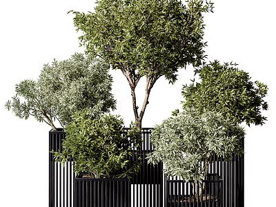 Bonsai Potted Plants With Various Green Foliage In Black Decorative Containers 3d model