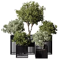 Bonsai Potted Plants With Various Green Foliage In Black Decorative Containers
