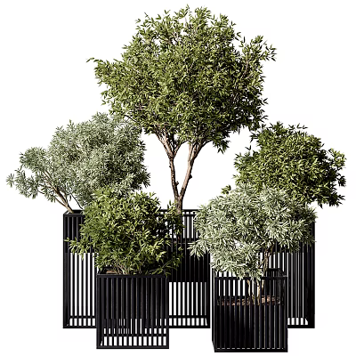 Bonsai Potted Plants With Various Green Foliage In Black Decorative Containers 3d model