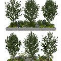 Lush Green Shrubs Planted In Rectangular Planter With Various Green Plants And Fresh Foliage