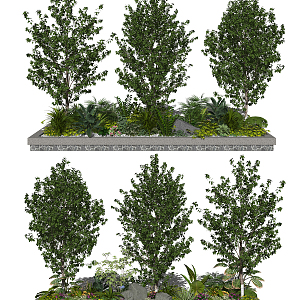 Modern shrubs Landscape trees Flowers and plants Dwarf shrubs 3d model