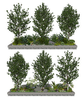 Modern shrubs Landscape trees Flowers and plants Dwarf shrubs 3d model