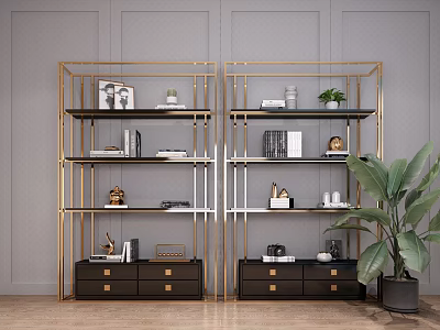 Modern Gold Frame Bookcase Featuring Books Decorative Items and Side Green Plant 3d model