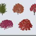 Various Colored Arbor Trees With Canopies Trunks And Shadows On White Background
