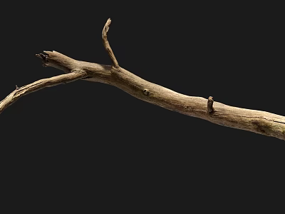 Stone And Wood Branch Material Showcasing Natural Rustic Decorative Texture 3d model