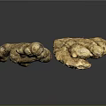 Fresh Organic Ginger Roots With Natural Brown Texture And Raw Appearance