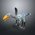 Prehistoric Bird Like Dinosaur With Large Orange Beak And Feathered Wings Standing On Dark Background