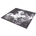 Black and White Patterned Carpet With Abstract Root Texture Modern Interior Floor Decor