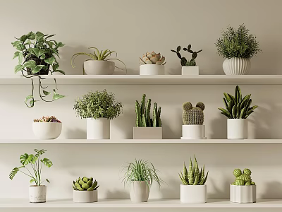 Modern potted fleshy potted ornaments 3d model