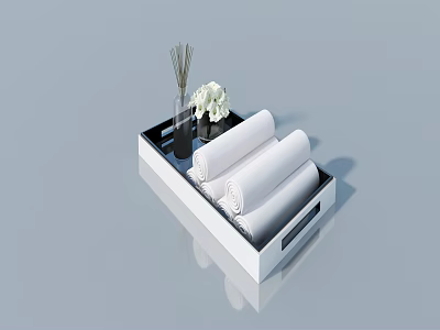 Swing Door In Bathroom With Rolled Towels Vase And Dried Flowers On Tray 3d model