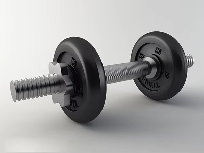 Adjustable Dumbbell With 10KG Weight Plates And Metal Handle For Home Gym Fitness 3d model