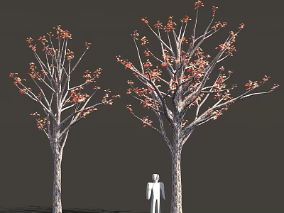 Two Trees With Orange Leaves And White Human Figure On Dark Background 3d model