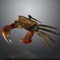 Vibrant Crab With Red Claws Brown Body And Yellow Eyes On Dark Background