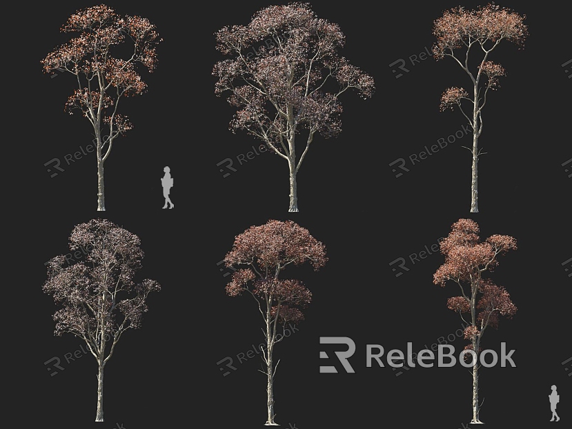 Chinese tallow wood tallow tree wax tree wood tree autumn and winter tree deciduous tree red leaf tree landscape tree courtyard tree model