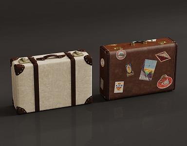 Modern Luggage 3d model