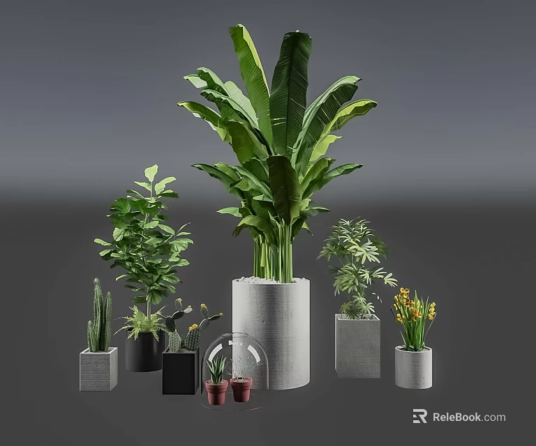Green Living Wall With Diverse Indoor Plants In Modern Concrete Glass Planters 3d model 