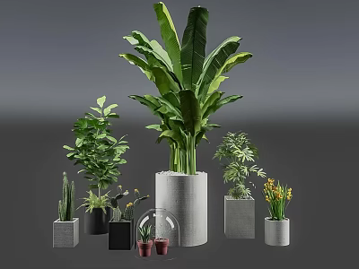 Green Living Wall With Diverse Indoor Plants In Modern Concrete Glass Planters 3d model