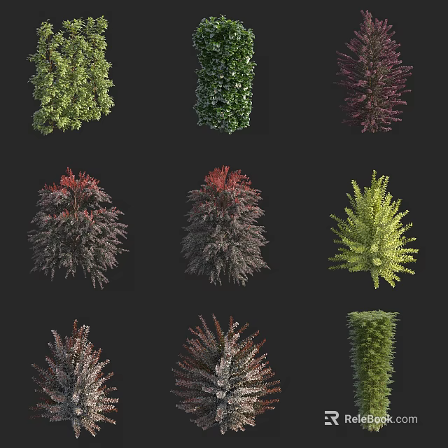 Various Colored Shrubs with Green Red and Purple Foliage for Garden Landscaping 3d model 