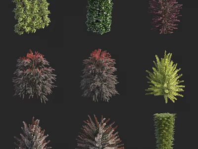 Various Colored Shrubs with Green Red and Purple Foliage for Garden Landscaping 3d model
