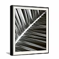 Black and White Palm Leaf Plant Painting in Black Frame on Gray Wall