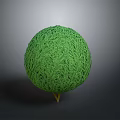 Green Spherical Ornamental Plant With Small Stand For Home Indoor Decoration