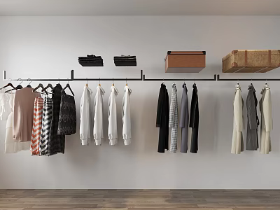 Wall Mounted Clothes Hanger With Hanging Shirts Coats And Storage Boxes 3d model